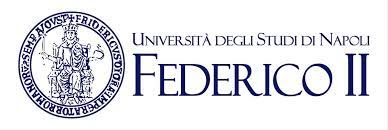 Università degli Studi di Napoli Federico II